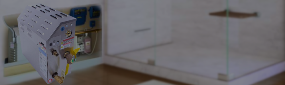 A gray Mr. Steam MS-E Series steam generator unit shown in the foreground against a blurred bathroom shower background.