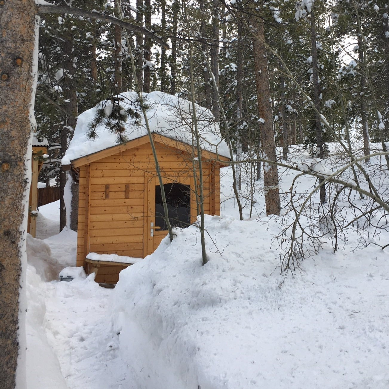 Almost Heaven Saunas Almost Heaven Allegheny 6 Person Cabin Sauna