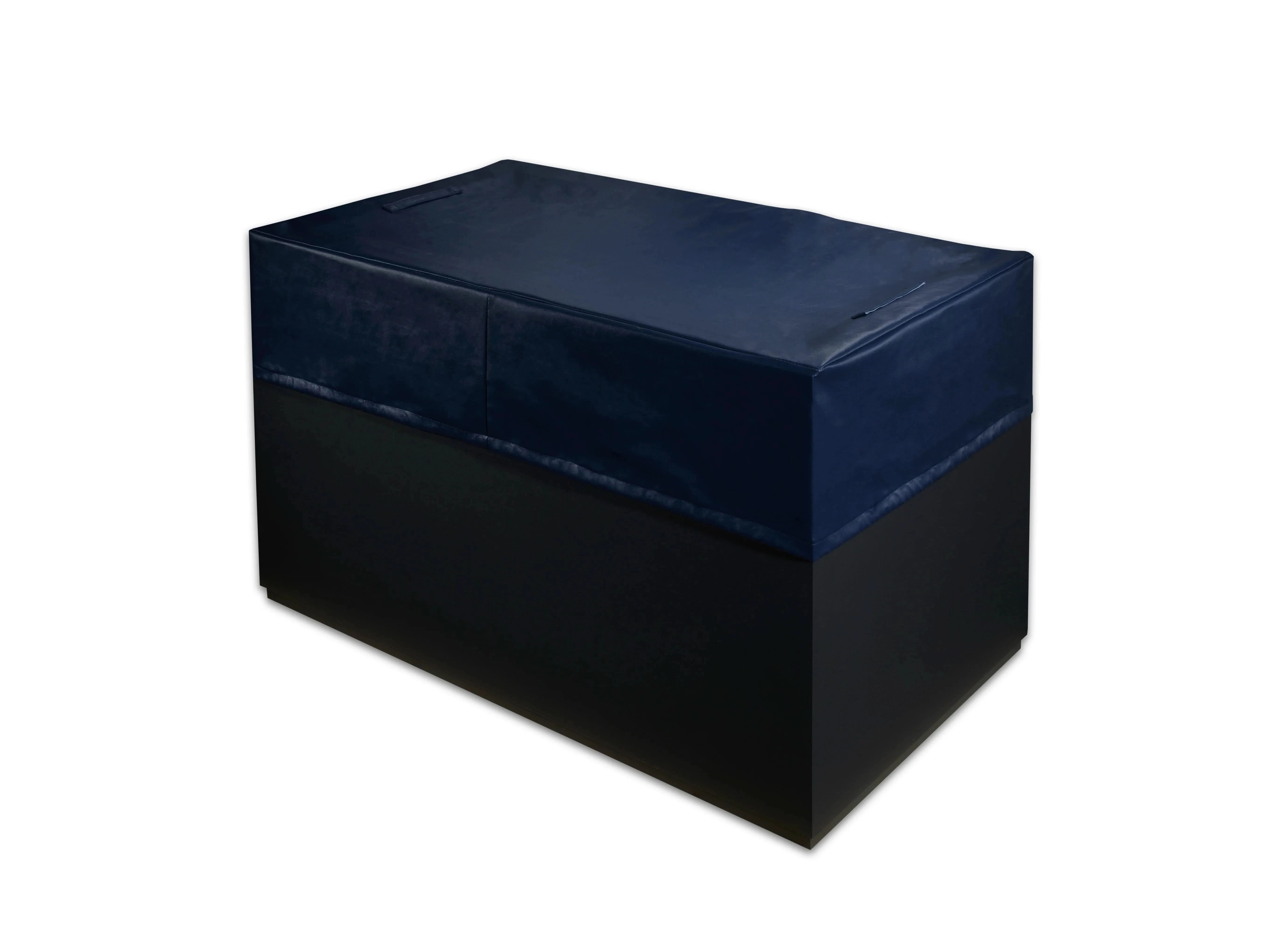 Golden Designs Cold Plunge Tubs Dynamic Cold Therapy Cuboid 316 Stainless Steel Cold Plunge