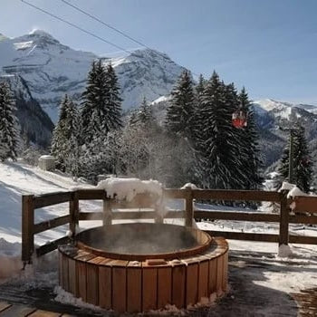 Northern Lights Outdoor Sauna Northern Lights Hydro Therapy Hot Tub