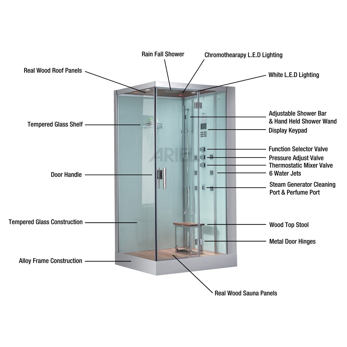 Platinum Showers Platinum DZ959F8 2 Person Walk-In Steam Shower