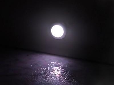 Bathology Accessories Bathology Spectrum 220 Ice-White LED In-Shower Lighting System