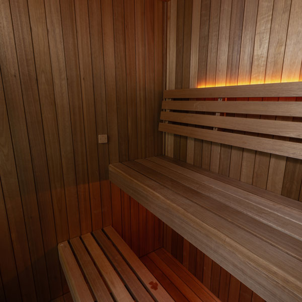 Dundalk LeisureCraft Saunas Dundalk Leisure CT Element Loft Sauna (54x74)