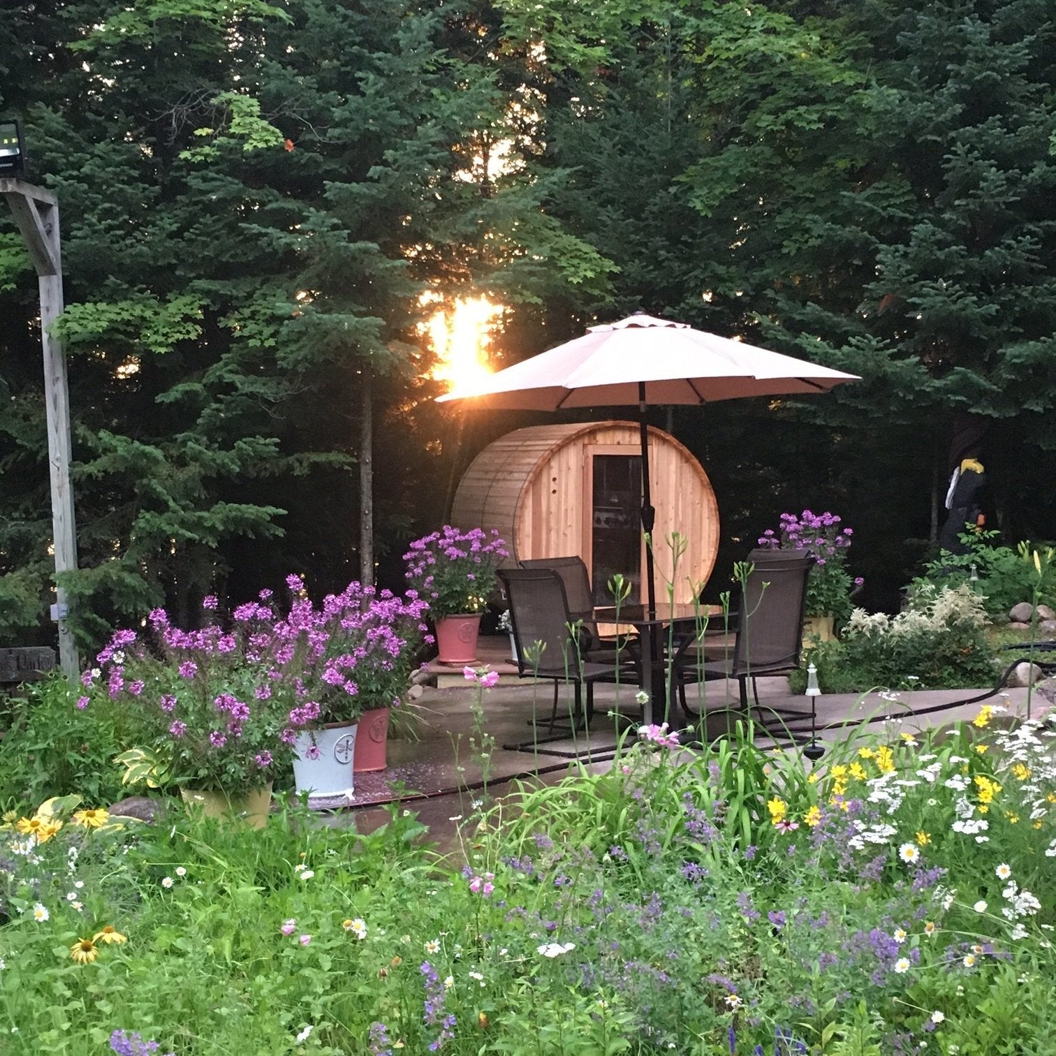 Almost Heaven Pinnacle 4 Person Barrel Sauna in a Backyard with trees