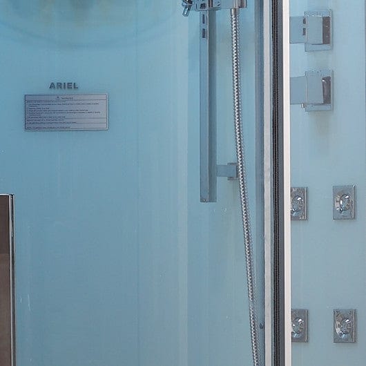 Platinum DZ963F8 1 Person Walk-In Steam Shower