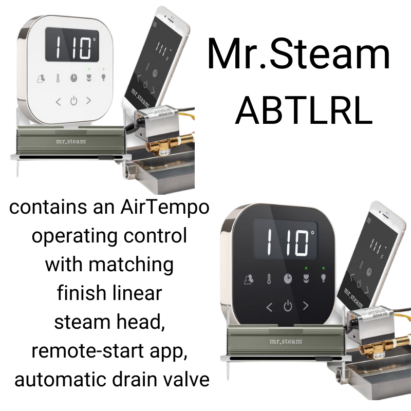 Mr. Steam MS-E Series 10KW Steam Shower Generator