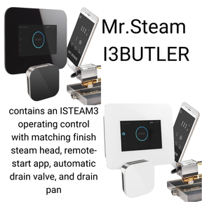 Mr. Steam MS-E Series 9KW Steam Shower Generator