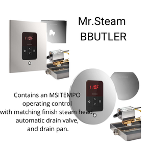 Mr. Steam MS-E Series 12KW Steam Shower Generator