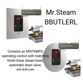 Mr. Steam MS-E Series 12KW Steam Shower Generator